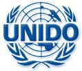 Organizzazione delle Nazioni Unite per lo Sviluppo Industriale Organizzazione delle Nazioni Unite per lo Sviluppo Industriale (United Nations Industrial Development Organization) UNIDO Sito internet: