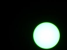 celeste BECKYs Ripreso in ALABAMA DSCN 0285A - Zoom Digitale x