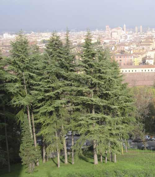 orientale del colle, trasportate a partire dal 400 con un lungo condotto sino al centro cittadino (fu una