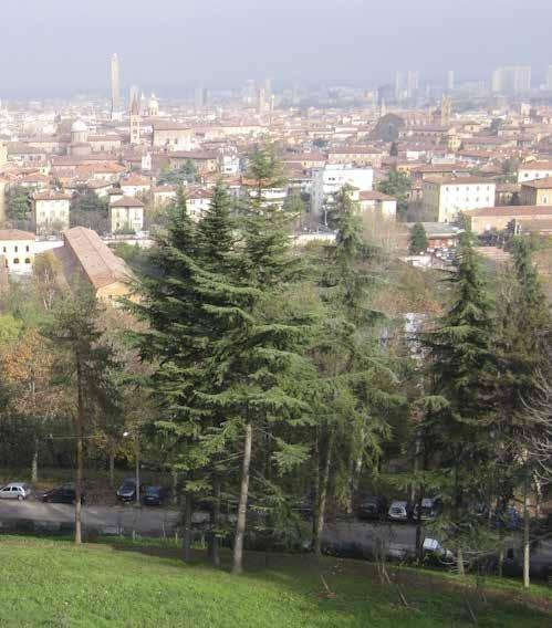 Bologna, Parco di