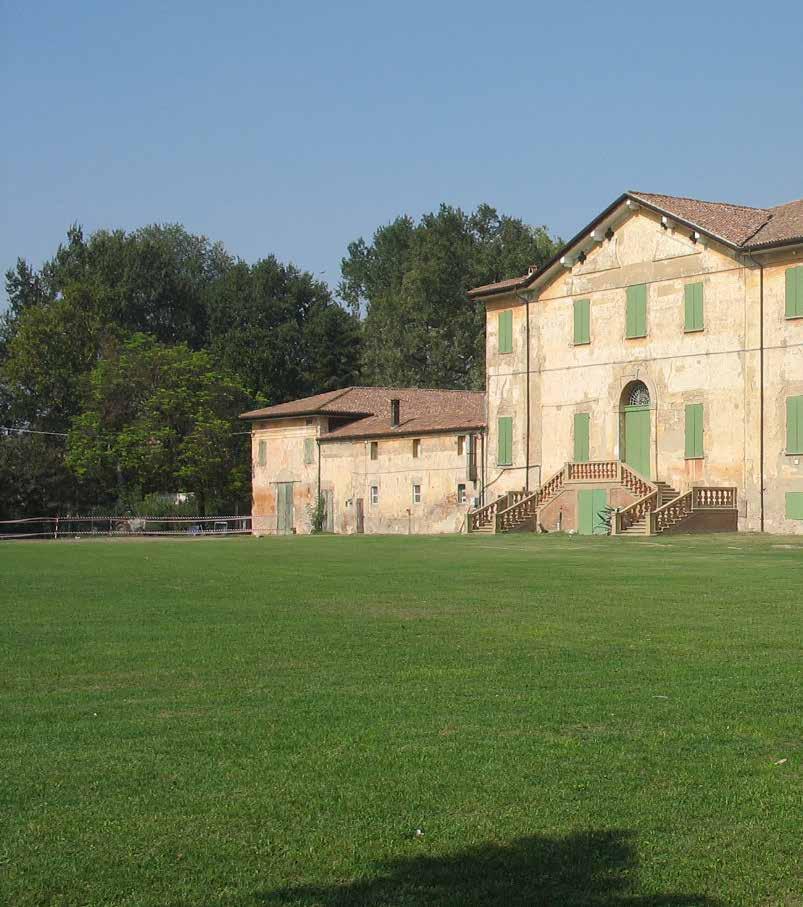 querce di ragguardevoli dimensioni, organizzate su tre lati in un altissima quinta verde, frammiste ad altre essenze, che racchiude l ampio spazio prativo a sud della villa, creando un motivo