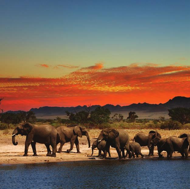 All immensa vastità degli scenari africani sarà poi possibile legare il puro relax in veri e propri paradisi terrestri dalle lunghe