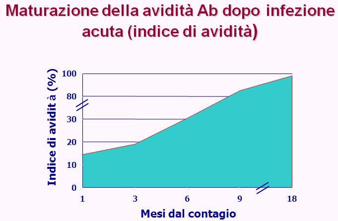 Avidità anticorpale Esprime un fenomeno naturale, evoluzione/ maturazione della risposta immune nel tempo che consiste nella produzione di anticorpi