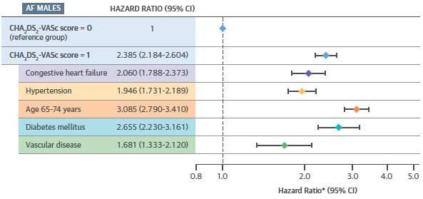 Stroke Risk Factors Conclusion: Not all risk factors in CHA 2 DS 2 VASc score carry an equal risk,