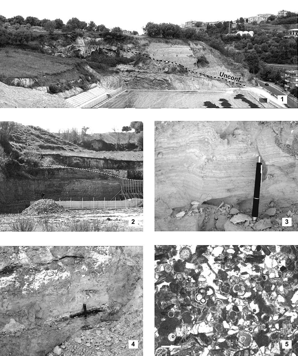 150 Geologica Romana 40 (2007), 147-161 RAO et al. TAVOLA 1 Fig. 1 - Sovrapposizione in onlap delle arenarie marine a Clypeaster sul basamento a paleotopografia articolata di età ercinica.