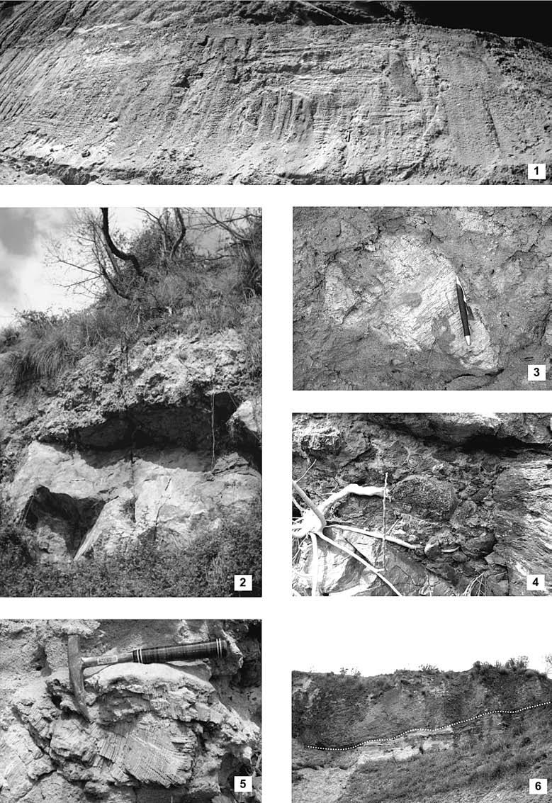 152 Geologica Romana 40 (2007), 147-161 RAO et al. TAVOLA 2 Fig.