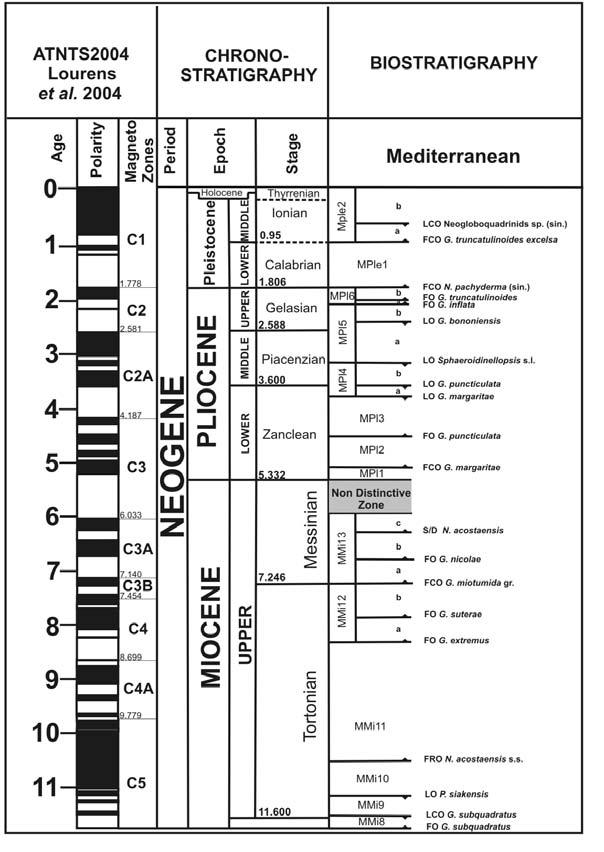 ASPETTI SEDIMENTOLOGICI E BIOSTRATIGRAFICI DELLA... Geologica Romana 40 (2007), 147-161 153 Fig.