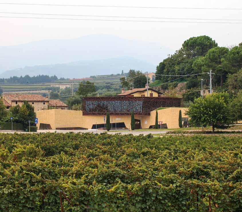 nuova cantina zymè cantina vinicola località: s. pietro in cariano (ve) anno: 2014 superficie: 1.