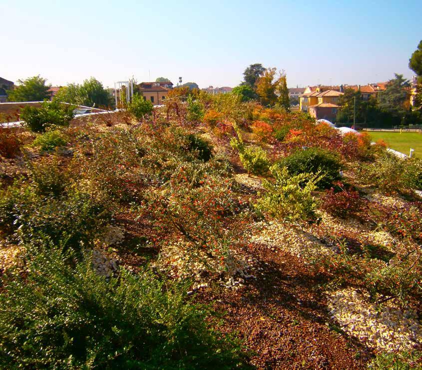 orto botanico museo sistema: estensivo inclinato località: padova anno: 2012 superficie: