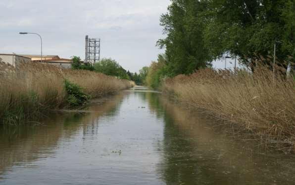 Disciplinare tecnico per la manutenzione dei corsi d acqua e della costa nei Siti