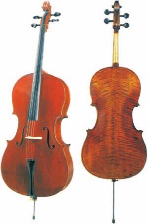 nero C21-C Violoncello da studio (4/4), (3/4), (1/2) -Tavola armonica in Abete.