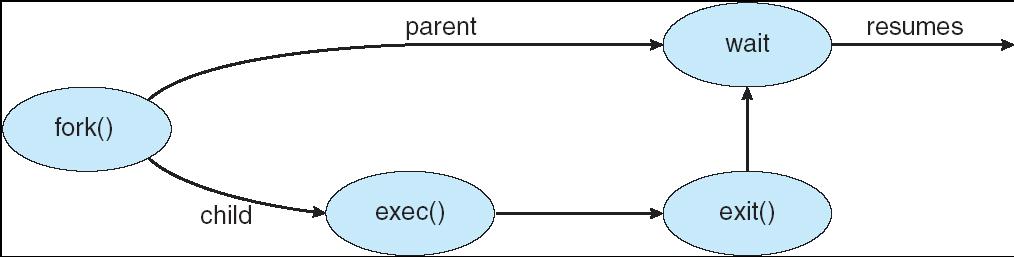 Esecuzione dei processi Due scenari possibili: Il padre continua l esecuzione in modo concorrente ai