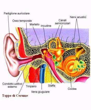 Alterazioni morfologiche soggettive del condotto uditivo esterno rendono l orecchio anatomicamente diverso da paziente a paziente e, nello stesso paziente, un orecchio dall altro.
