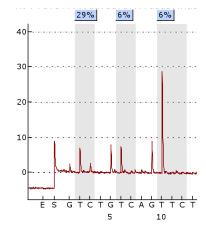 Cellule ASM TSC2 VSMCs AML ND HpaII MspI ND HpaII MspI ND HpaII MspI Promotore del gene TSC2 Promotore del gene ZFX Controllo normale Cellule TSC2 -/meth Fig.