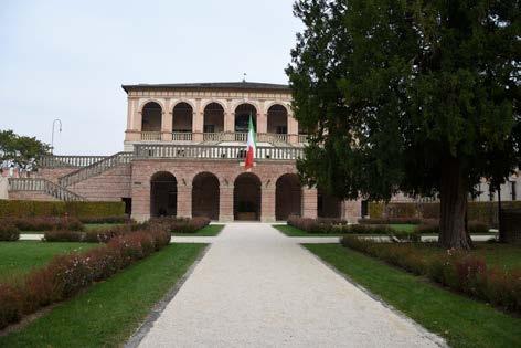 Che cosa vedi a Villa dei Vescovi La corte La corte è un giardino con alberi, siepi e fiori.