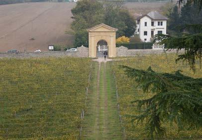 Nel parco ci sono: dei tavoli e delle sedie dove puoi mangiare il vigneto che produce un vino che si chiama