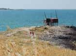 mezzaluna trail highlights Partenza dalla spiaggia, di fronte al ristorante Mezzaluna di Vieste, su cui si percorrono le prime decine di metri prima di salire leggermente e continuare alternando