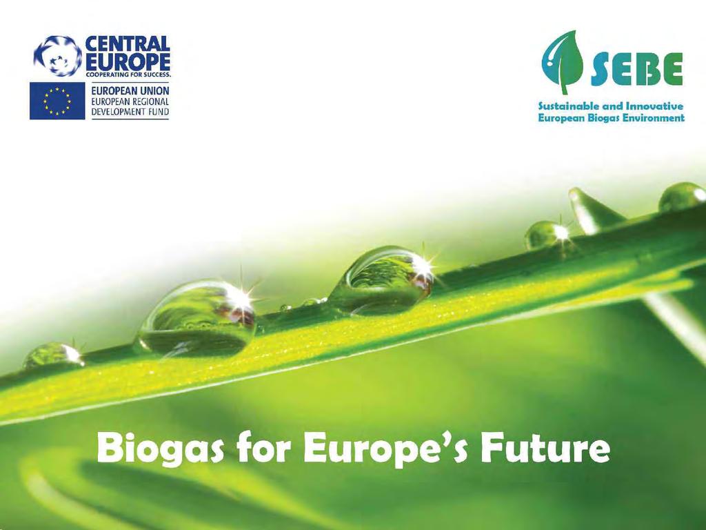 2 a GIORNATA NAZIONALE SUL BIOMETANO Biogas e biometano in Italia e in