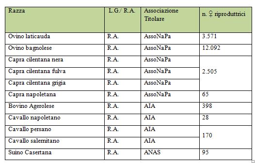 Tabella razze autoctone Descrizione della metodica e delle ipotesi e dei parametri agronomici, compresa la descrizione dei requisiti di riferimento di cui all'articolo 29, paragrafo 2, del