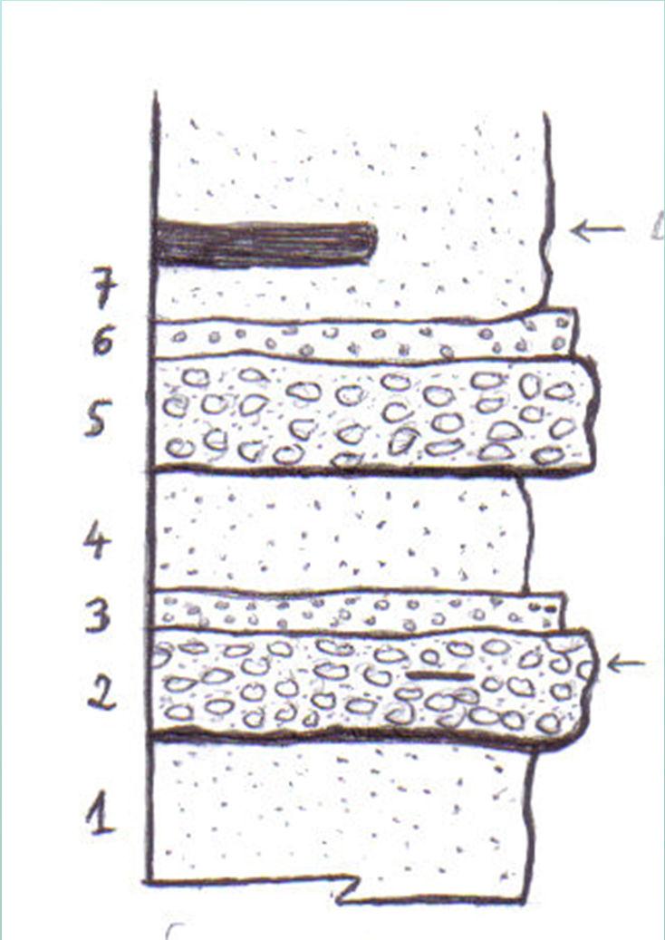 Sezioni stratigrafiche Sezione 1.