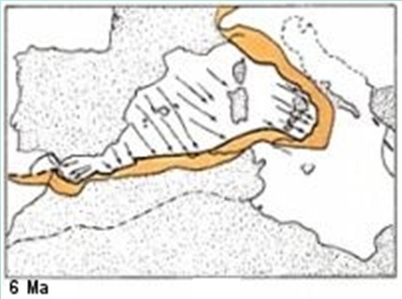 la posizione attuale nel Miocene