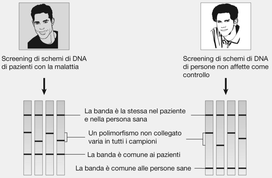 delezione