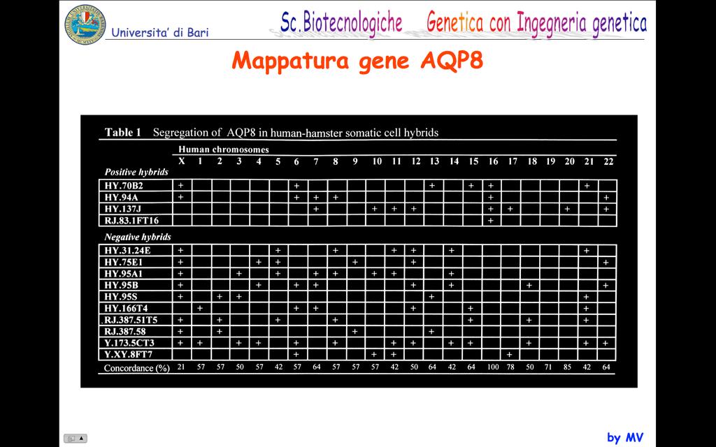 Mappatura del gene AQP8 Il gene e localizzato su quel cromosoma che e sempre presente sugli ibridi risultati