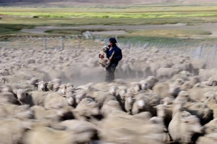 Argentina. Breve passeggiata lungo le sponde del fiume La Leona per osservare l immenso lago Viedma e lo straordinario ambiente circostante.