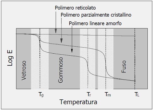 Cap. 1 Analisi delle caratteristiche e delle proprietà di un polimero I materiali polimerici amorfi, all aumentare della temperatura, presentano due transizioni in corrispondenza di due temperature