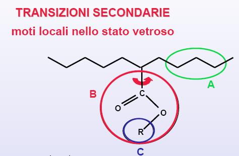 Cap.3 Caratterizzazione meccanica di un polimero Fig. 3.9 Rilassamenti gruppi secondari osservabili tramite DMA.