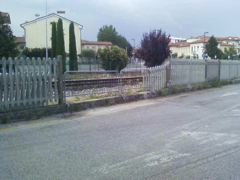 20.04. 2011 Cancellata Ferroviaria abbattuta e falcio ramaglie a bordo recinzione. Nessuna da risposta.