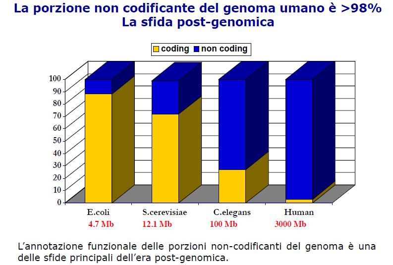 Porzione