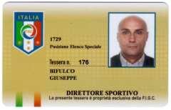 Palmares professionale: 2006/2007 Campione d Italia (Giovanissimi Nazionali As Roma) 2007/2008 Vittoria Coppa Italia (Prima Squadra As Roma)