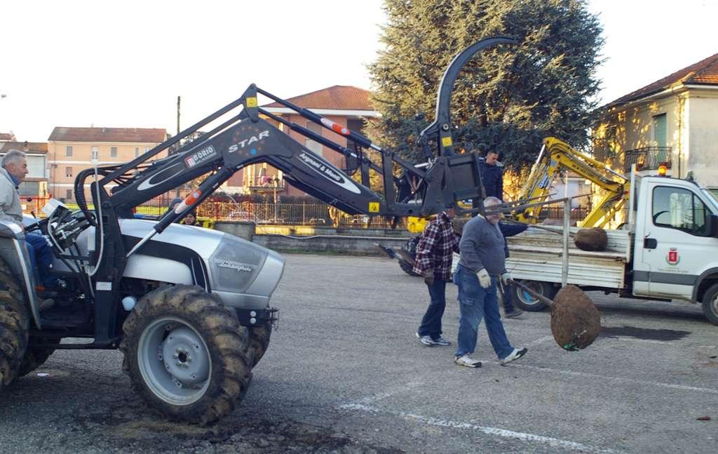 Operazioni di carico degli alberi per il trasporta dalla