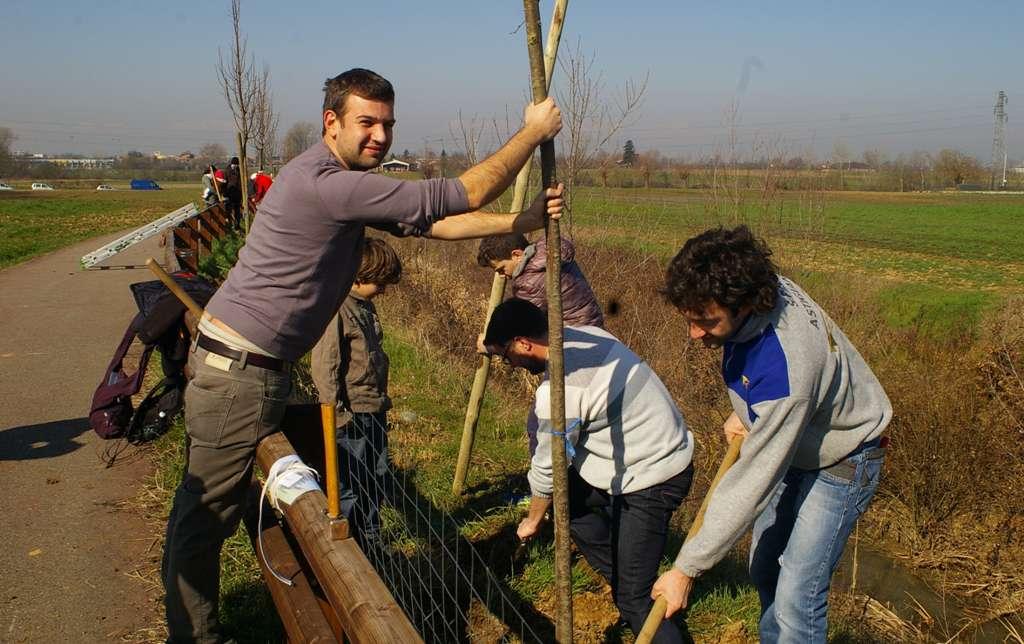 Aiuto al piantamento degli alberi anche da parte degli agronomi e