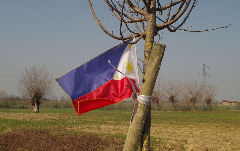 Albero adottato dalla Comunità