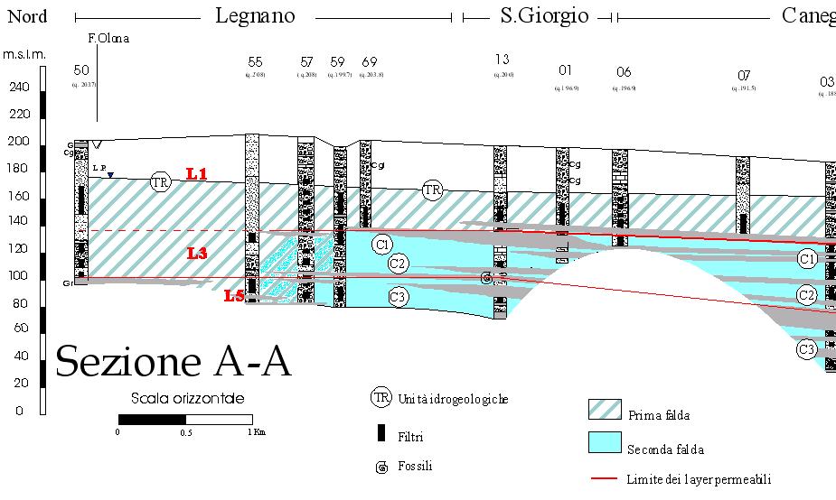 Allegato 4 Figura 3.3 - Stralcio di una sezione N-S nella porzione centrale del dominio modellato, in evidenza il passaggio da un solo acquifero (TR) ad una compartimentazione (TR e C) 3.2.4. Discretizzazione spaziale del dominio 3.