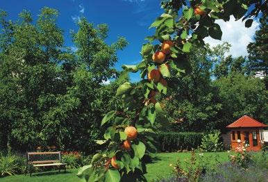 orto e giardino Concimi per la coltivazione e la cura dell orto e del giardino.