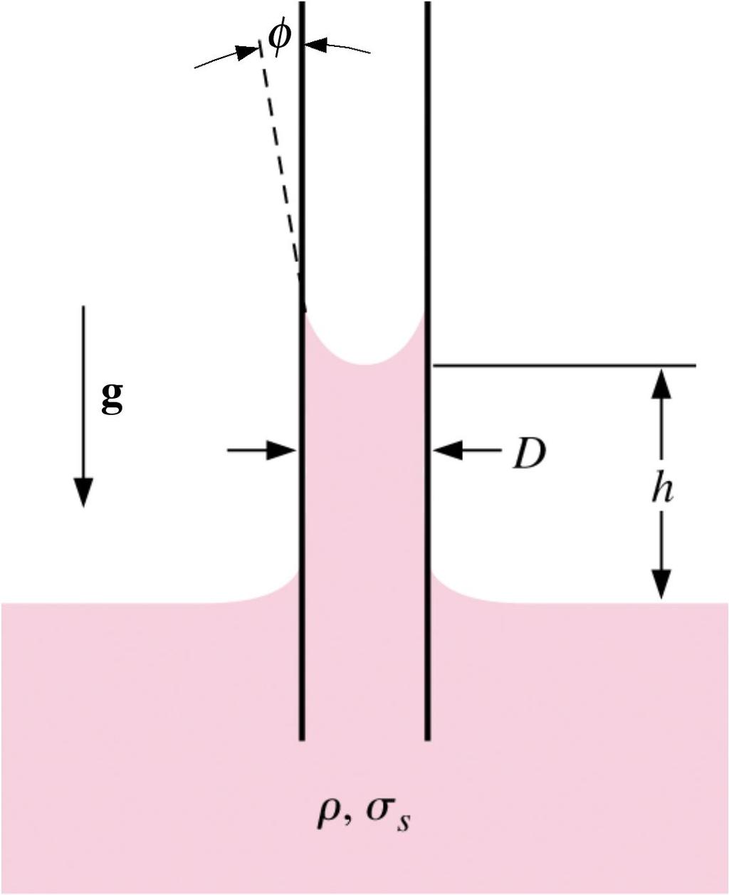7.46 Quando un tubicino di piccolo diametro D viene inserito in un volume di liquido a superficie libera, questo risale nel tubicino fino ad una certa altezza h.