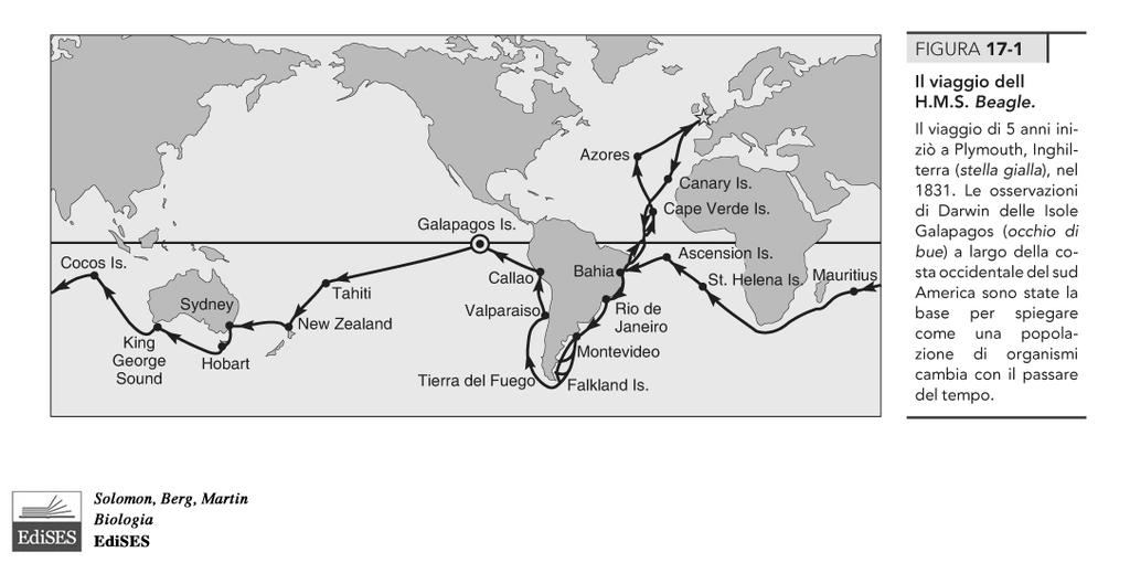 Darwin Darwin Il fatto dell evoluzione Discendenza comune Gradualità dell evoluzione Moltiplicazione delle specie Selezione naturale Fatto 1: Potenziale crescita esponenziale delle popolazioni Fatto