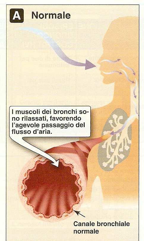 Confronto tra i