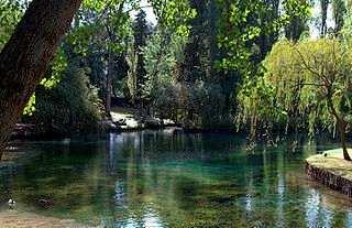 Il Fiume