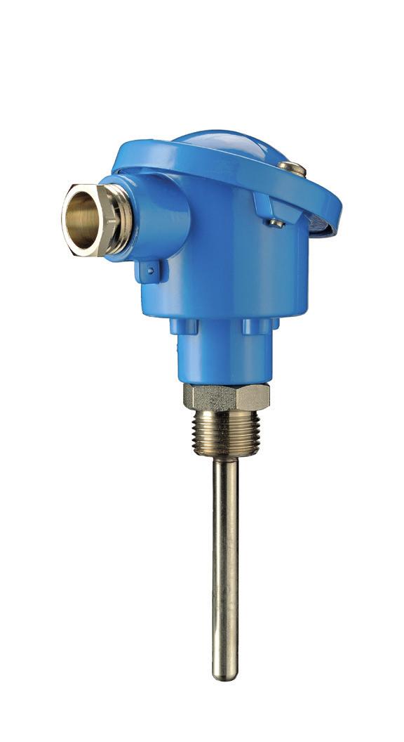 TRASMETTITORI DI TEMPERATURA CON USCITA ANALOGICA 4-20 ma TEMPERATURE TRANSMITTERS WITH 4-20 ma ANALOGIC OUTPUT 598 Rt Hex24 14 8 G1/2 V input=8 30V I output ma =4 20mA 84 ESEMPIO CURVA PT100 - IEC