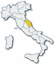 Dal 2007 al 2009 il settore ha subito un calo in termini di export che tuttavia negli ultimi tre anni risulta in lieve ripresa. Tra il 2010 e il la crescita è stata del 5,1%.