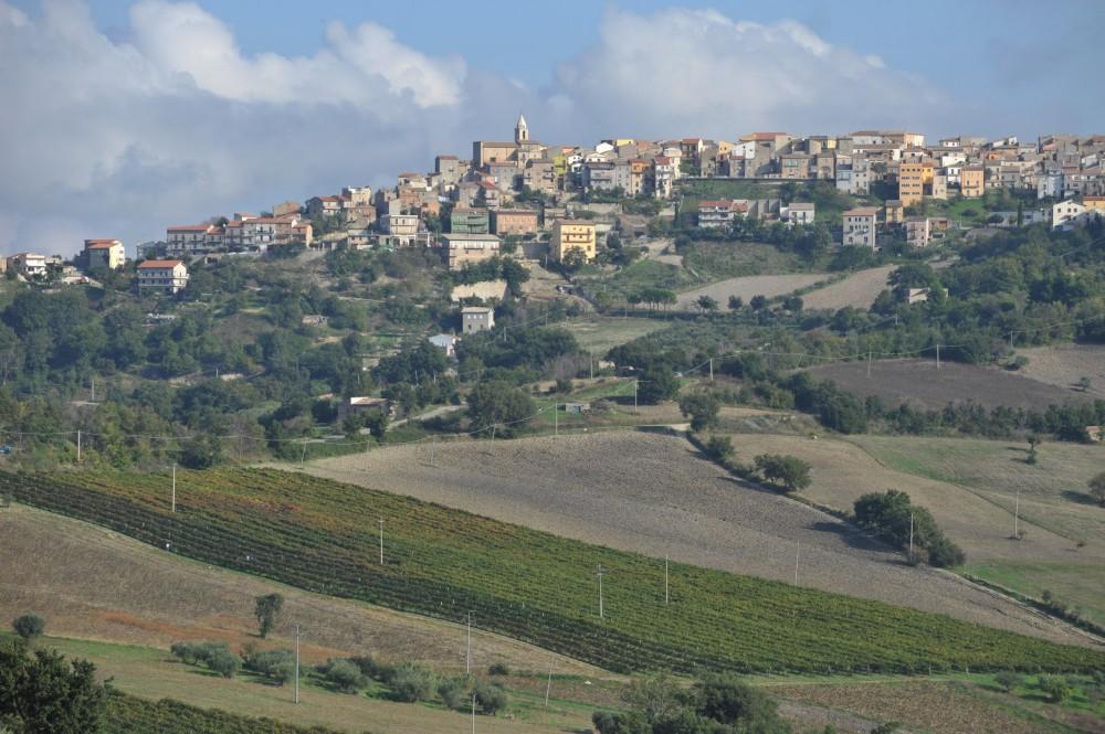 Molise Ormai da quel lontano 1963, in ambito enologico sono tante le aziende che sono nate, e grazie alla forza trainante di alcune grandi, si stanno aﬀermando sul