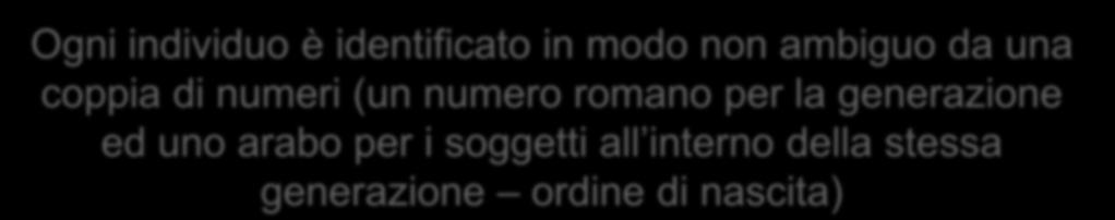 Ogni individuo è identificato in modo non ambiguo da una coppia di numeri (un numero romano per