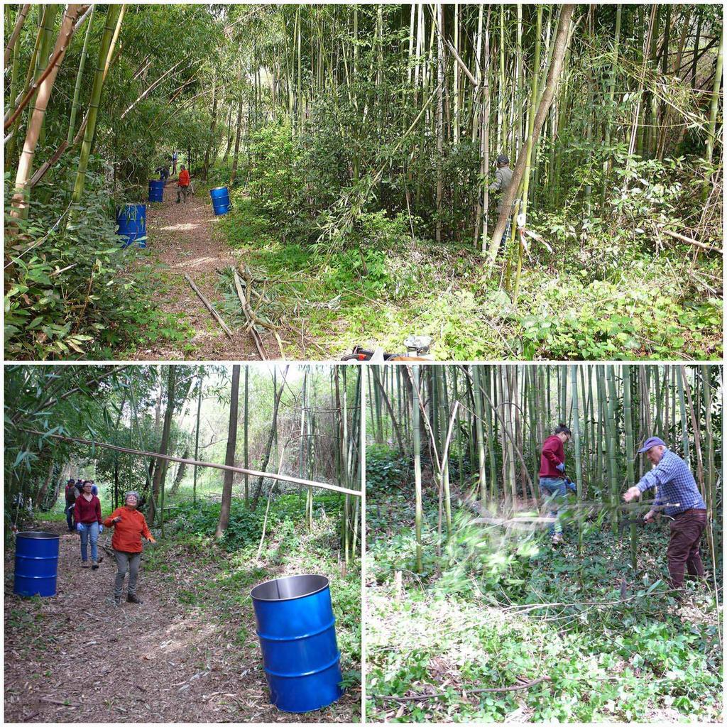 recuperare; questo fenomeno si sta verificando in alcune delle valli in relazione alla mancata gestione dei boschetti di bambù e al non utilizzo di questa risorsa da parte della comunità locale.