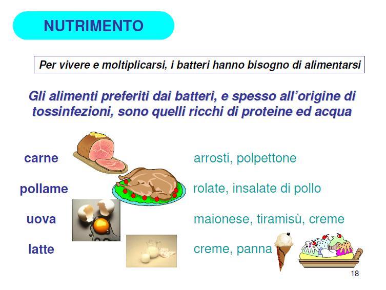 Il Nutrimento Alimenti preferiti a base di acqua, proteine,