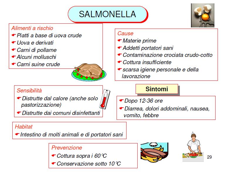 Salmonella spp Salmonella typhi, paratyphi e altre specie