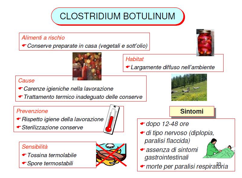 Clostridium botulinum Bacillo Gram +, anaerobio, sporigeno Istituto